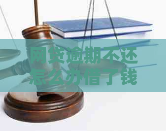 网贷逾期不还怎么办借了钱不还怎么办