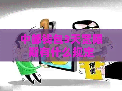 中邮钱包3天宽限期有什么规定