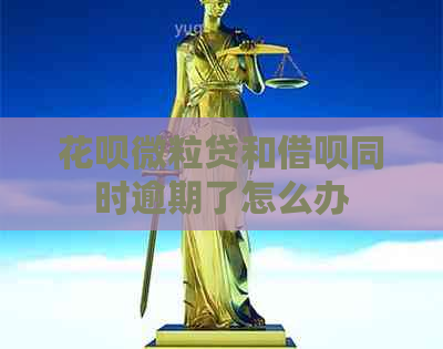 白条微粒贷和信用卡同时逾期了怎么办