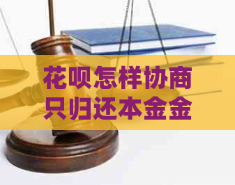 白条怎样协商只归还本金金额
