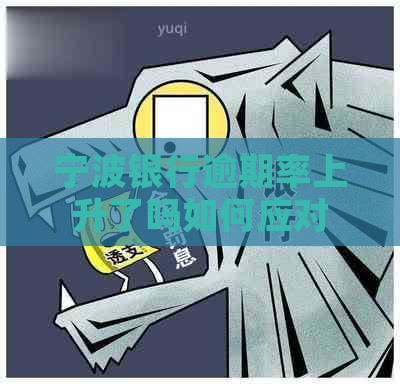 宁波银行逾期率上升了吗如何应对