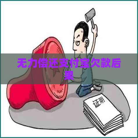 无力偿还信用卡欠款后果