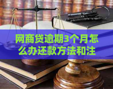 白条贷逾期3个月怎么办还款方法和注意事项