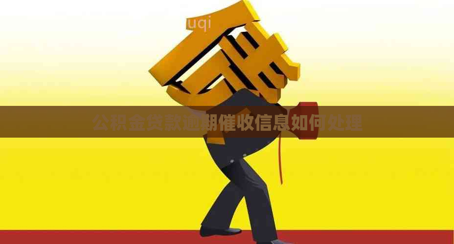 公积金贷款逾期信息如何处理