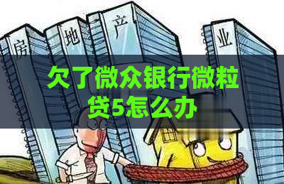 欠了微众银行微粒贷5怎么办