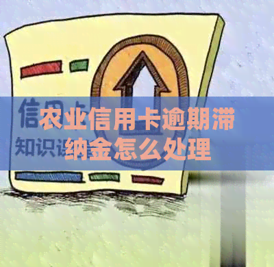 农业信用卡逾期滞纳金怎么处理