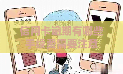信用卡逾期有哪些手续费需要注意