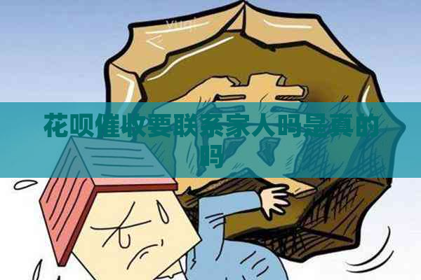 花呗要联系家人吗是真的吗