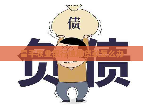 昌平农业银行逾期贷款怎么办