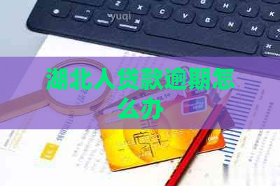 湖北人贷款逾期怎么办