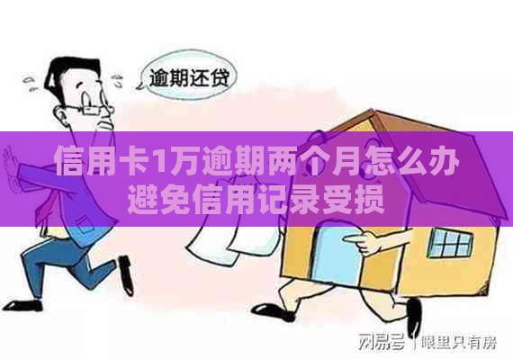 信用卡1万逾期两个月怎么办避免信用记录受损