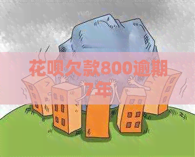 白条欠款800逾期7年