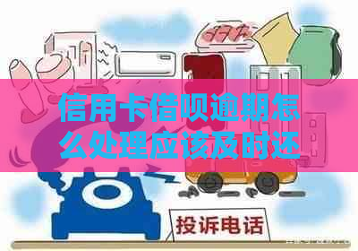 信用卡借呗逾期怎么处理应该及时还款