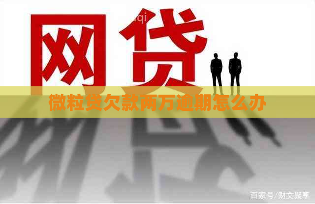 微粒贷欠款两万逾期怎么办