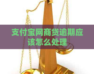 支付宝网商贷逾期应该怎么处理