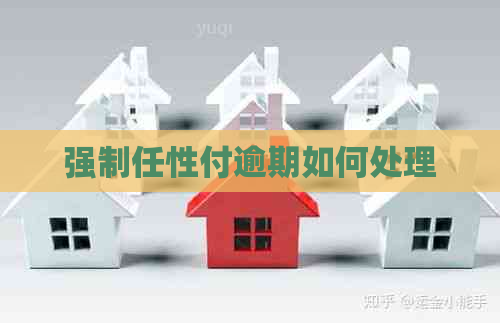 强制任性付逾期如何处理