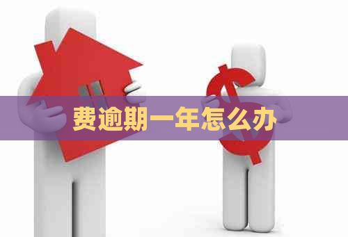 费逾期一年怎么办