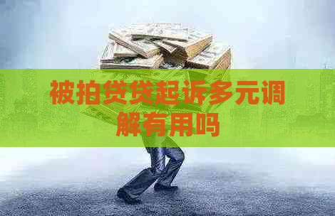 被拍贷贷起诉多元调解有用吗