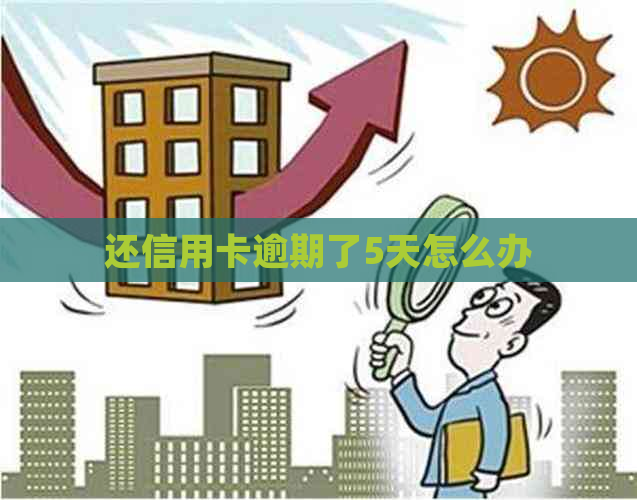 还信用卡逾期了5天怎么办