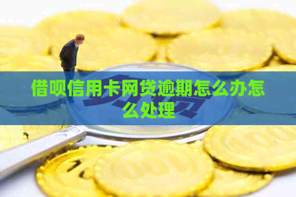 信用卡信用卡网贷逾期怎么办怎么处理
