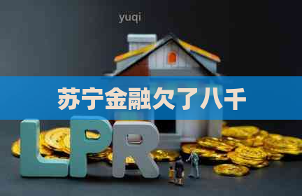 苏宁金融欠了八千 苏宁金融欠了八千