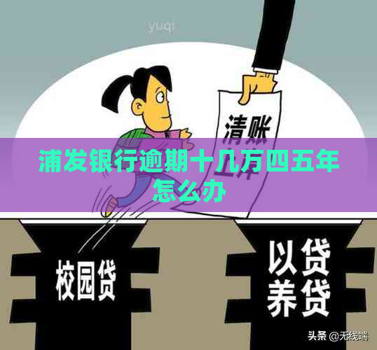 浦发银行逾期十几万四五年怎么办