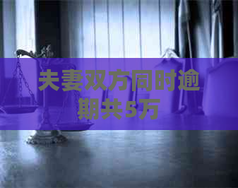 夫妻双方同时逾期共5万