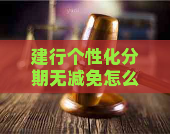 建行个性化分期无减免怎么操作