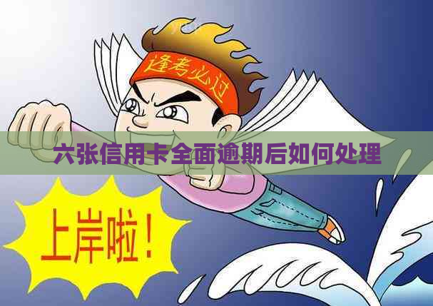 六张信用卡全面逾期后如何处理