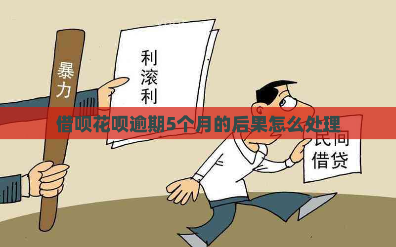 借呗花呗逾期5个月的后果怎么处理