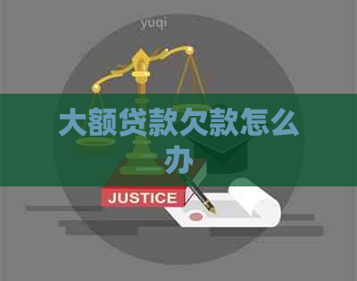 大额贷款欠款怎么办