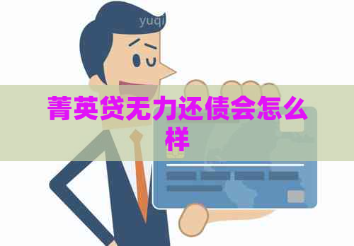 菁英贷无力还债会怎么样