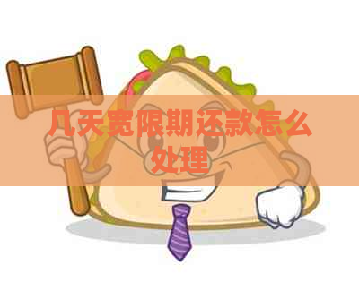 几天宽限期还款怎么处理