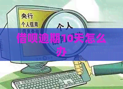 信用卡逾期10天怎么办