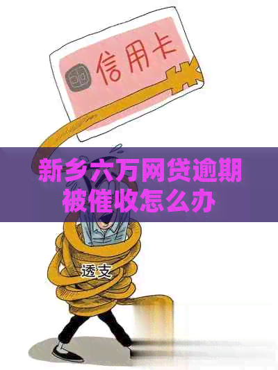 新乡六万网贷逾期被怎么办