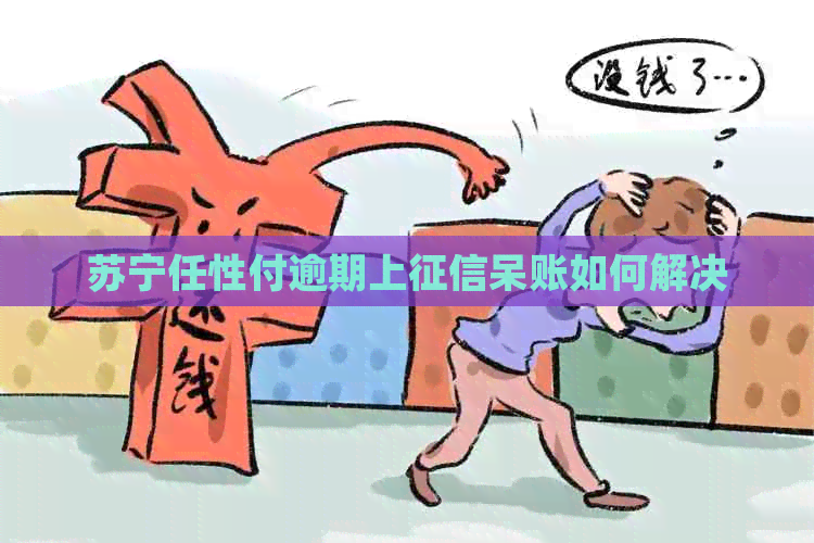 苏宁任性付逾期上呆账如何解决
