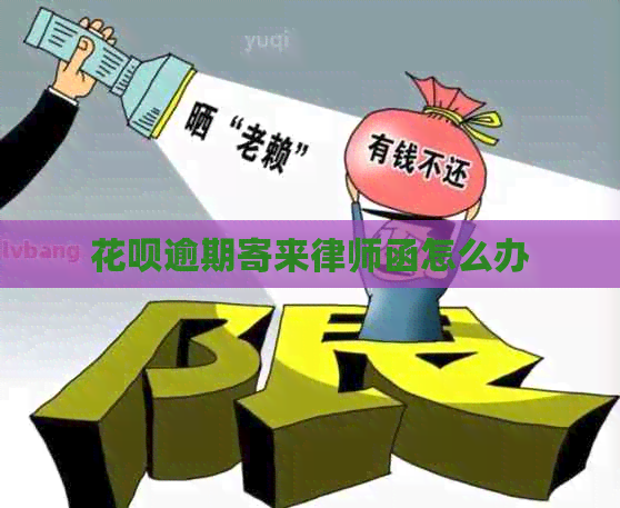 白条逾期寄来律师函怎么办