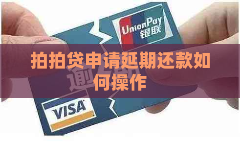 申请延期还款如何操作