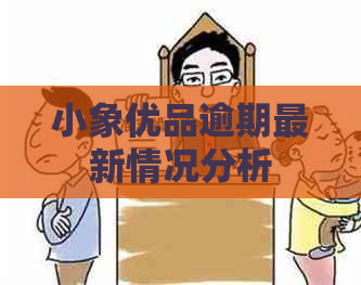 小象优品逾期最新情况分析