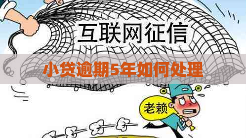 小贷逾期5年如何处理