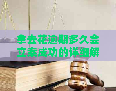 拿去花逾期多久会立案成功的详细解析