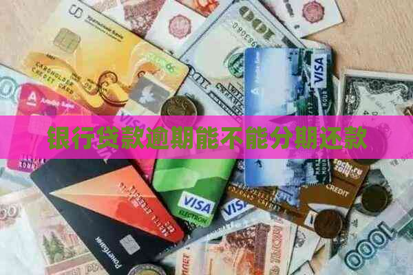 银行贷款逾期能不能分期还款