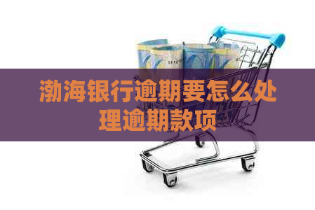 渤海银行逾期要怎么处理逾期款项