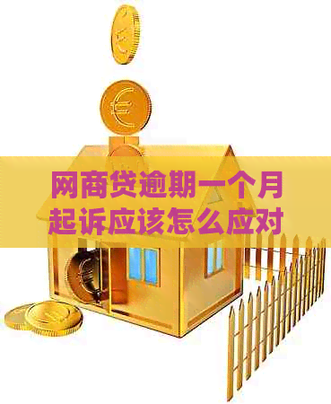 白条贷逾期一个月起诉应该怎么应对