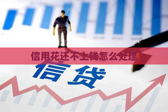 信用花还不上钱怎么处理