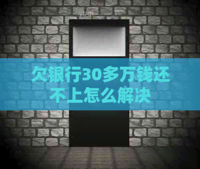 欠银行30多万钱还不上怎么解决