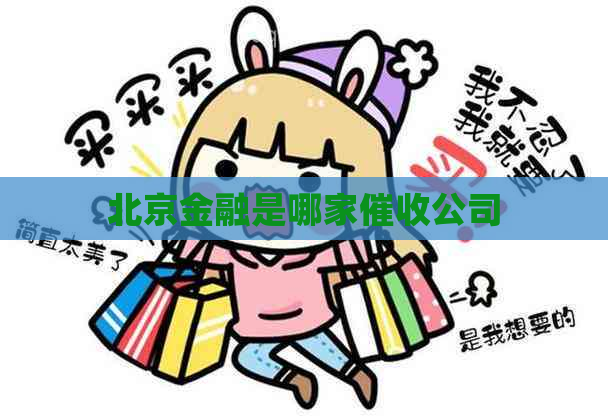 北京金融是哪家公司