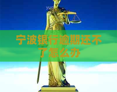 宁波银行逾期还不了怎么办 宁波银行逾期还不了怎么办