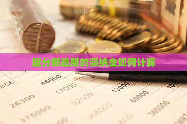 趣分期逾期的滞纳金如何计算