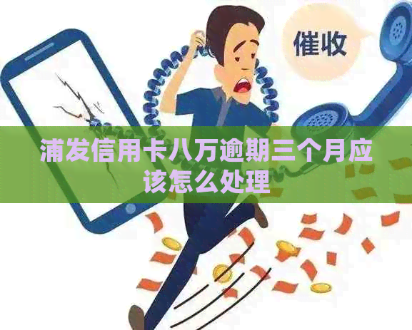 浦发信用卡八万逾期三个月应该怎么处理